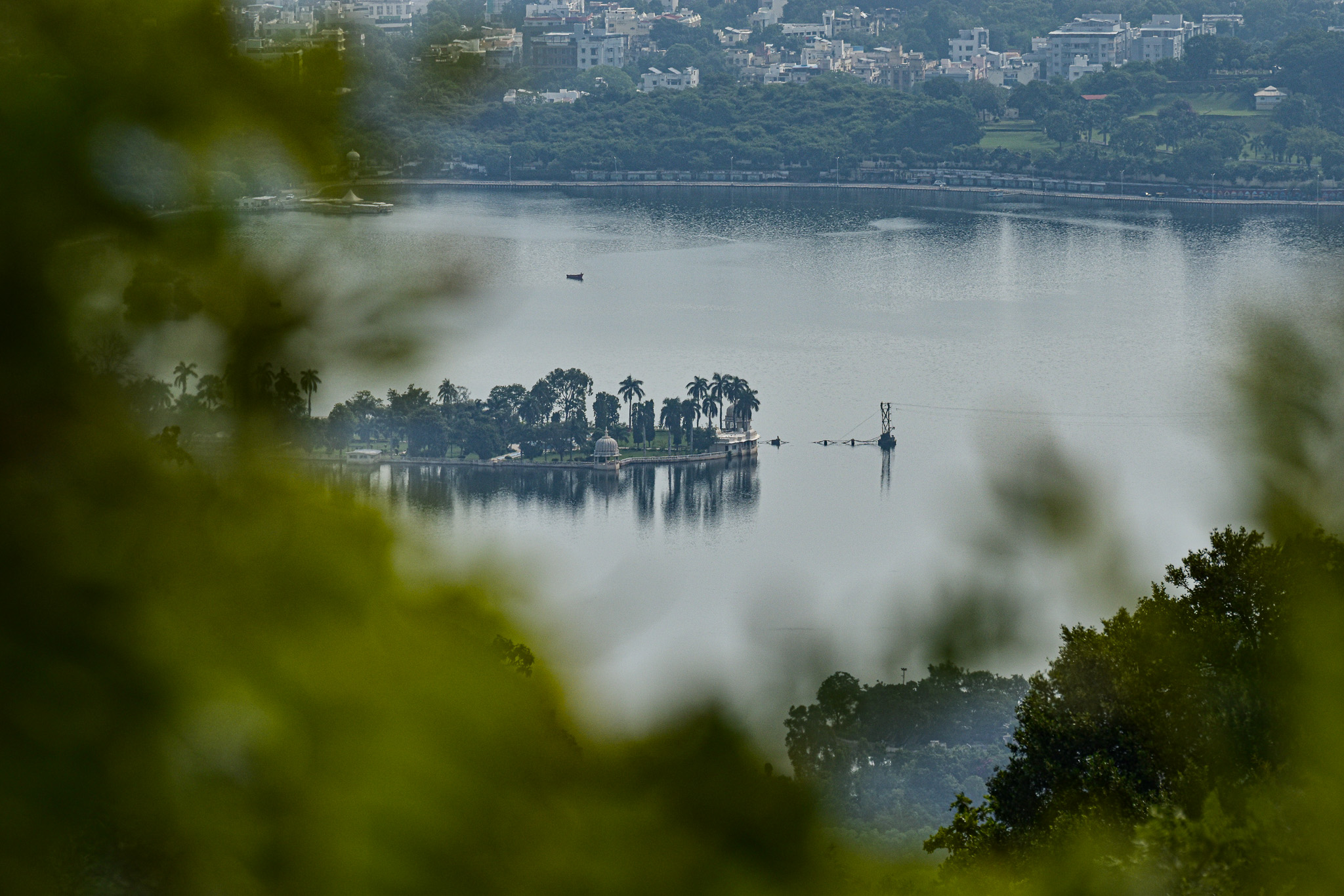 Lake view framed through foreground leaves, creating a layered natural perspective.